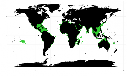 World distribution of the great hammerhead. Map © Chondrichthyan Tree of Life